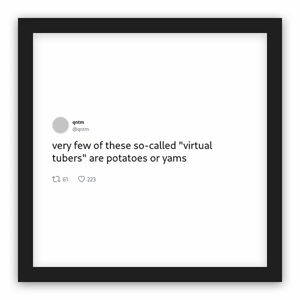 qntm frame preview