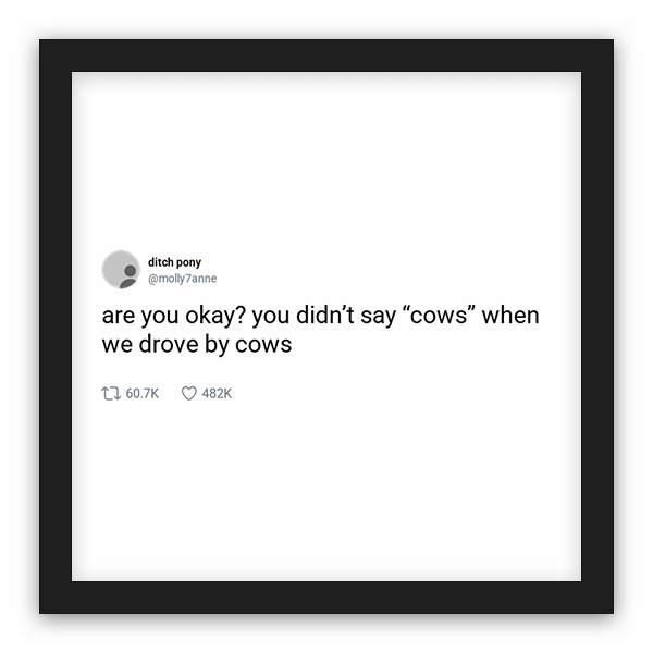 ditch pony frame preview