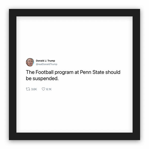 Donald J. Trump frame preview