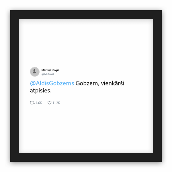 Mārtiņš Staķis frame preview
