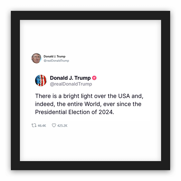 Donald J. Trump frame preview