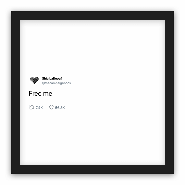 Shia LaBeouf frame preview