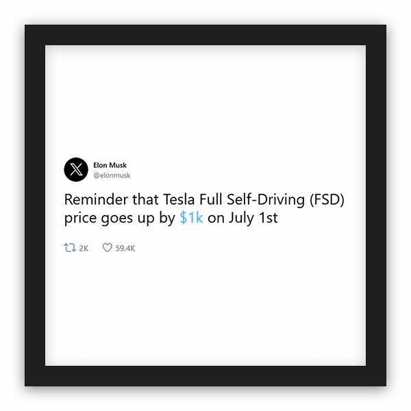 Elon Musk frame preview