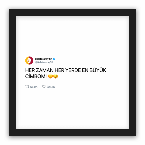 Galatasaray SK frame preview
