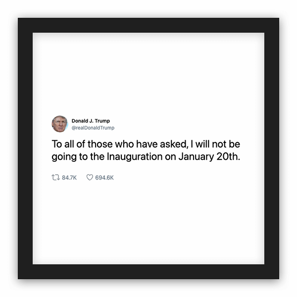 Donald J. Trump frame preview