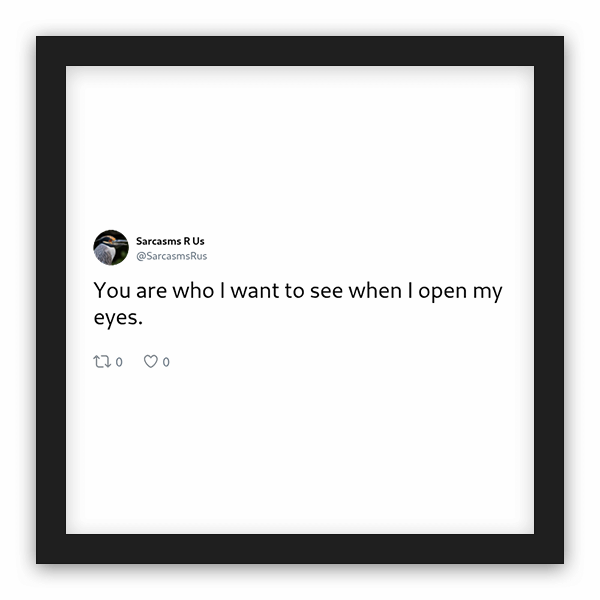 Sarcasms R Us frame preview