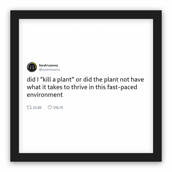 Sarah Lazarus frame preview