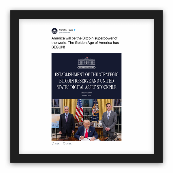 The White House frame preview