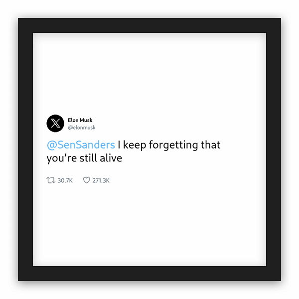 Elon Musk frame preview