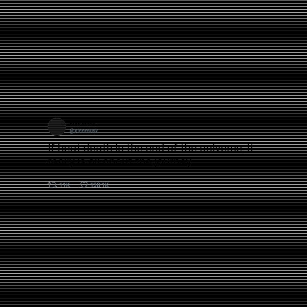 Elon Musk frame preview