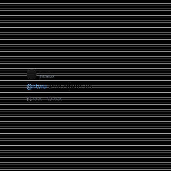 Elon Musk frame preview