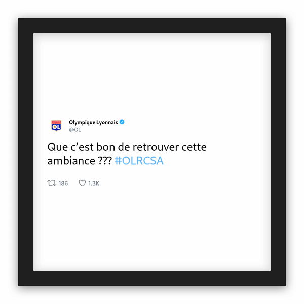 Olympique Lyonnais frame preview