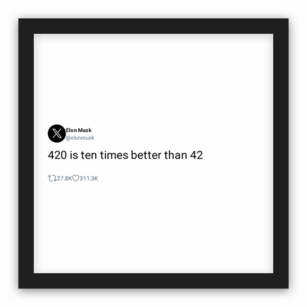 Elon Musk frame preview