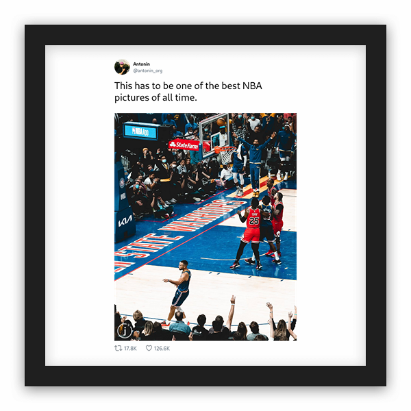 Antonin frame preview