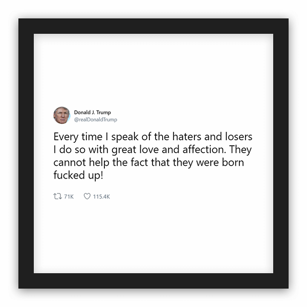 Donald J. Trump frame preview