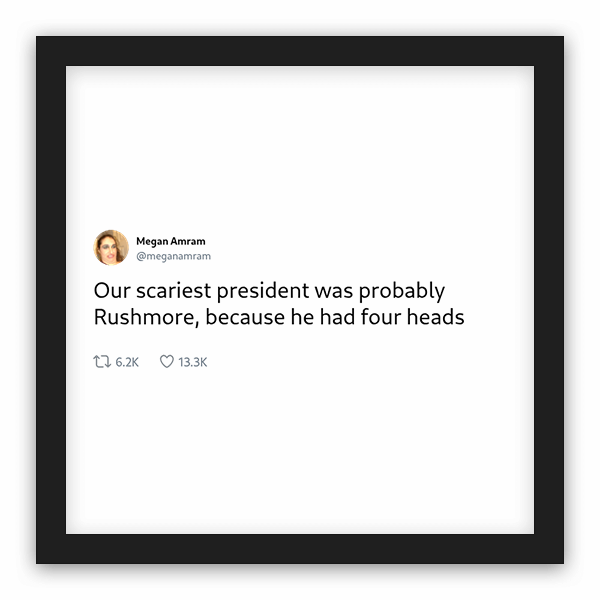 Megan Amram frame preview
