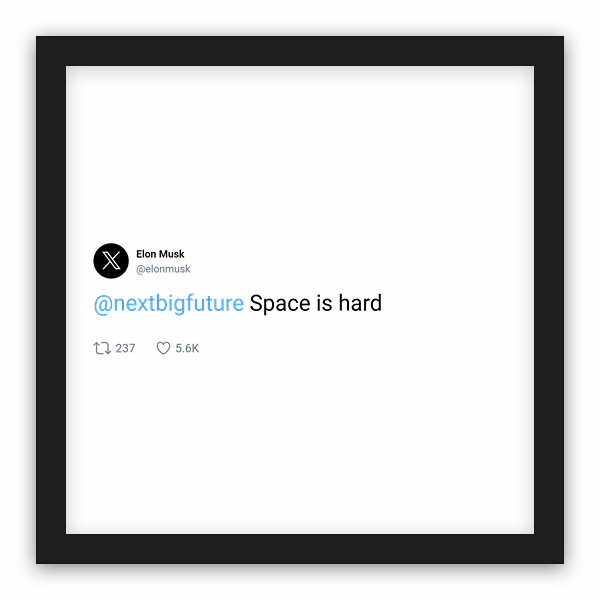 Elon Musk frame preview