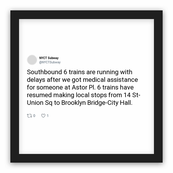 NYCT Subway frame preview