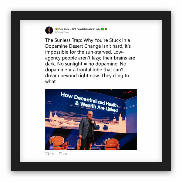 ☣️ Pleb Kruse = BTC foundationalist in exile 🟩🔆 frame preview