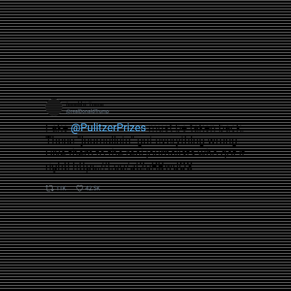 Donald J. Trump frame preview