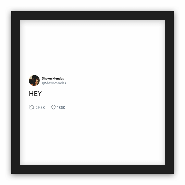 Shawn Mendes frame preview