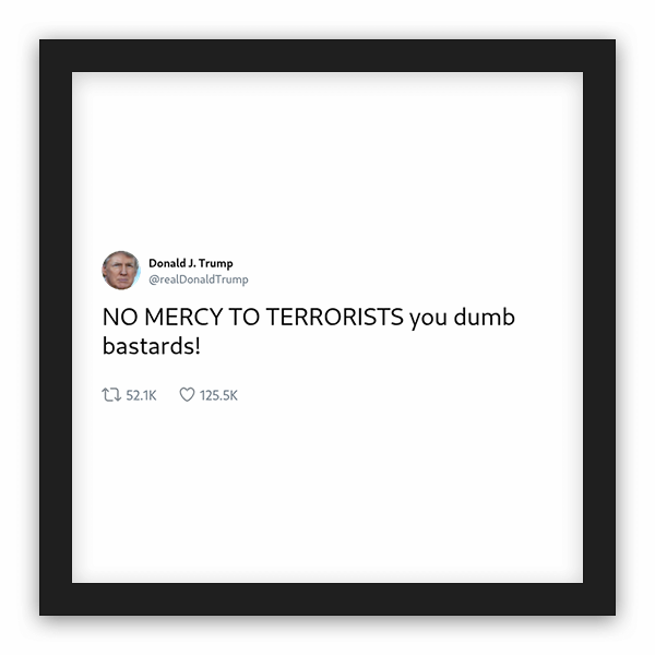 Donald J. Trump frame preview