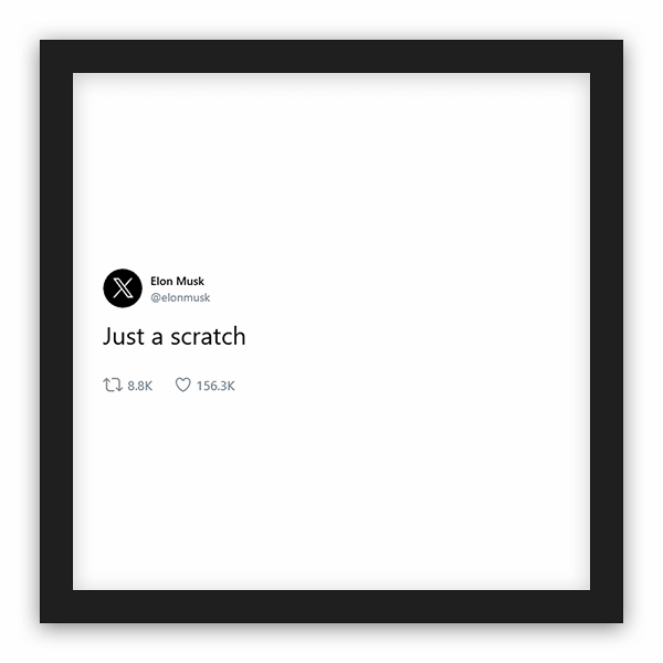 Elon Musk frame preview