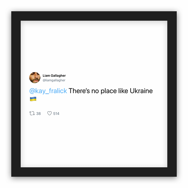 Liam Gallagher frame preview