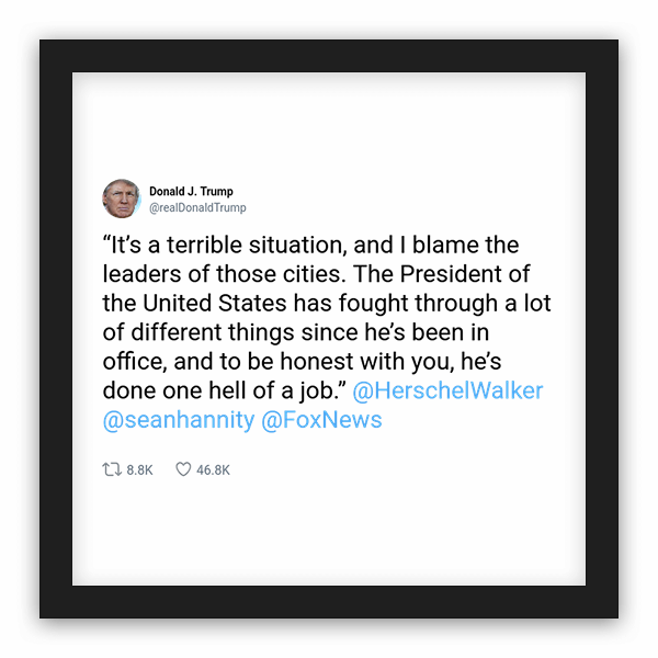 Donald J. Trump frame preview