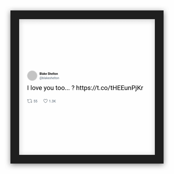 Blake Shelton frame preview