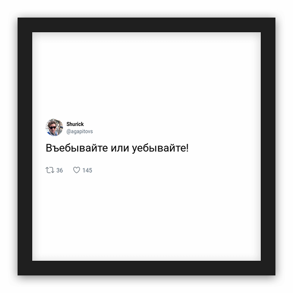Shurick frame preview