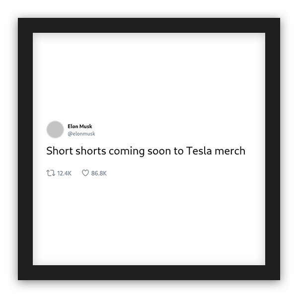 Elon Musk frame preview Elon Musk frame preview
