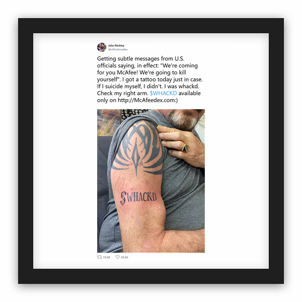 John McAfee frame preview