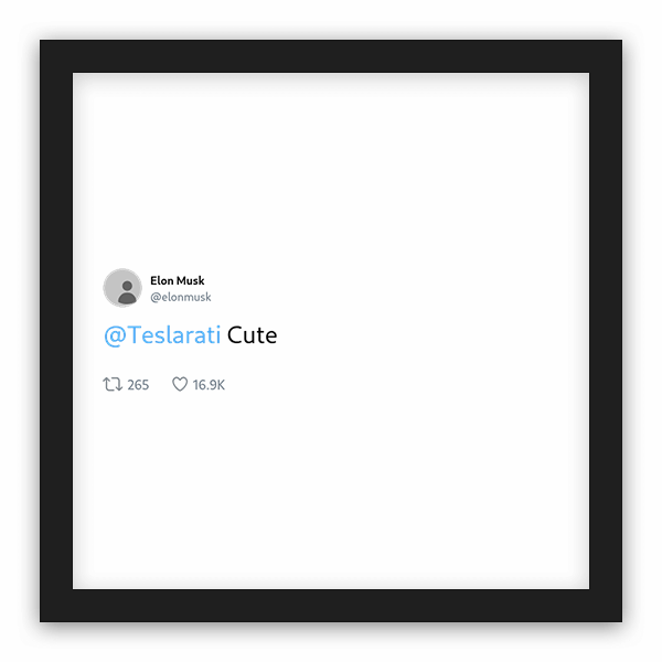 Elon Musk frame preview Elon Musk frame preview