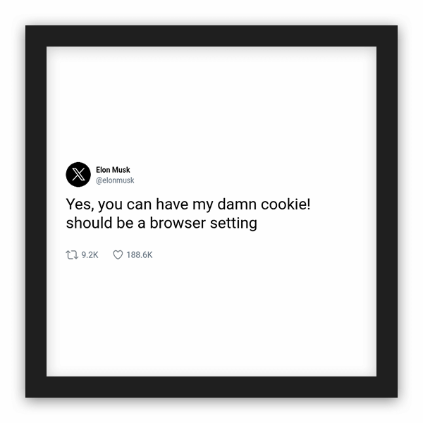Elon Musk frame preview