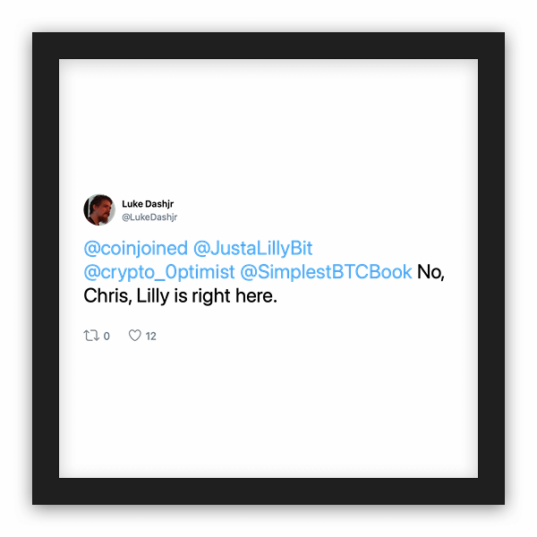 Luke Dashjr frame preview