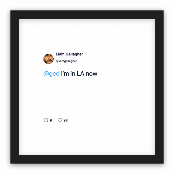 Liam Gallagher frame preview