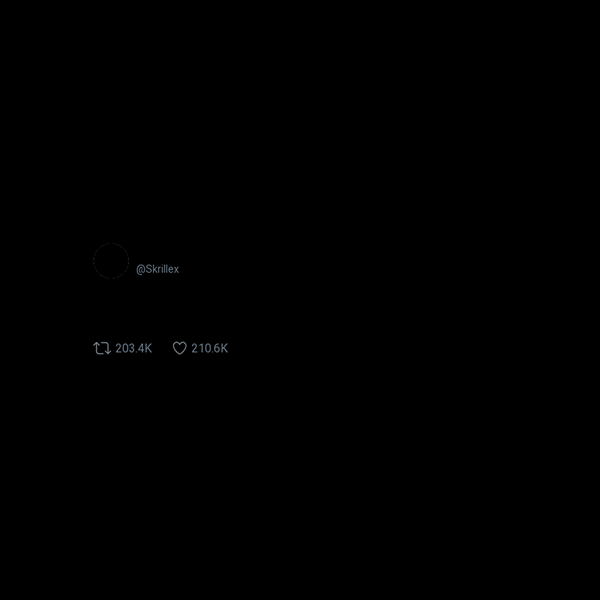 Skrillex frame preview
