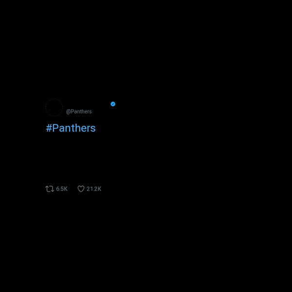 Carolina Panthers frame preview Carolina Panthers frame preview