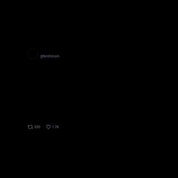 Kim Dotcom frame preview Kim Dotcom frame preview