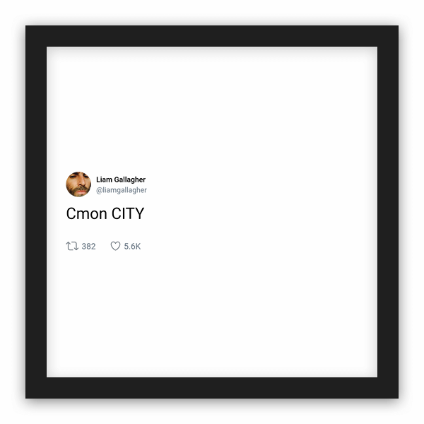 Liam Gallagher frame preview
