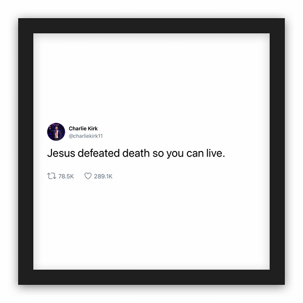 Charlie Kirk frame preview
