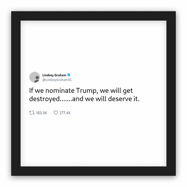 Lindsey Graham frame preview