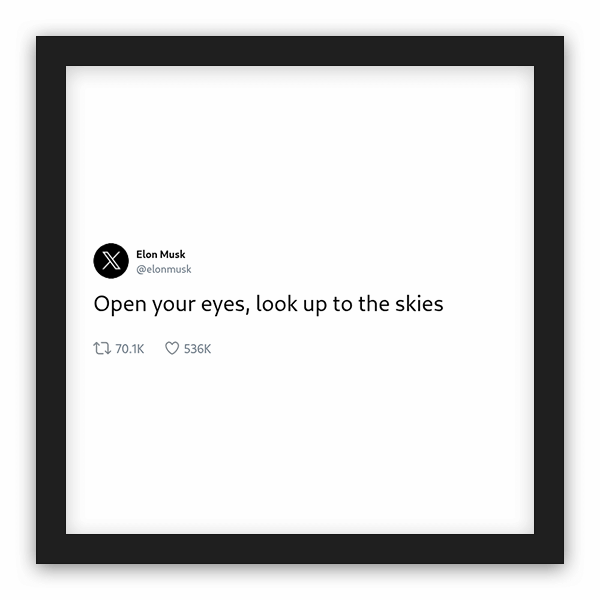 Elon Musk frame preview Elon Musk frame preview