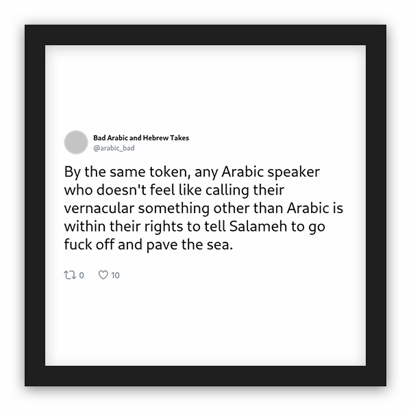 Bad Arabic and Hebrew Takes frame preview