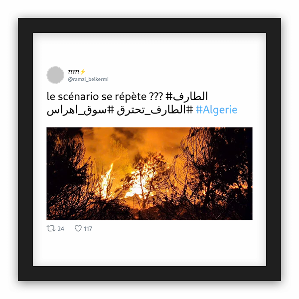 ?????⚡️ frame preview ?????⚡️ frame preview