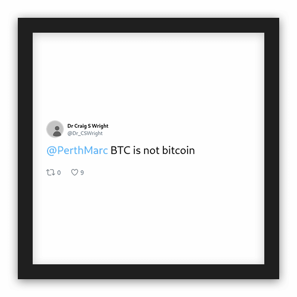 Dr Craig S Wright frame preview