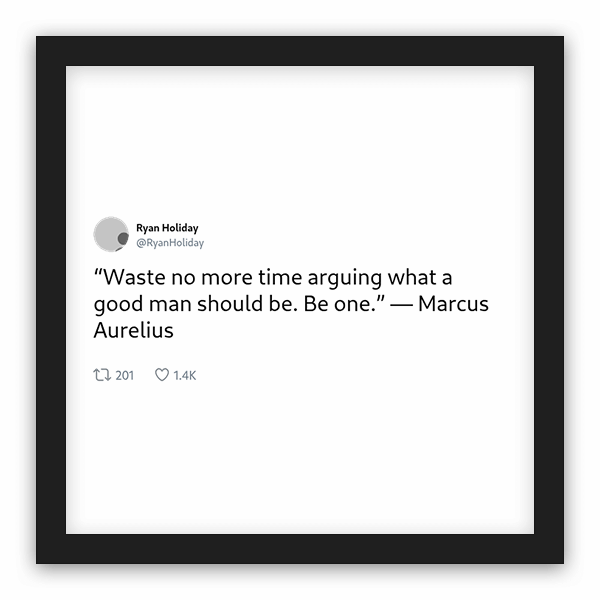 Ryan Holiday frame preview