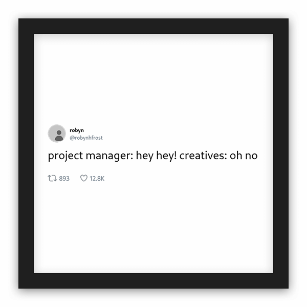 robyn frame preview