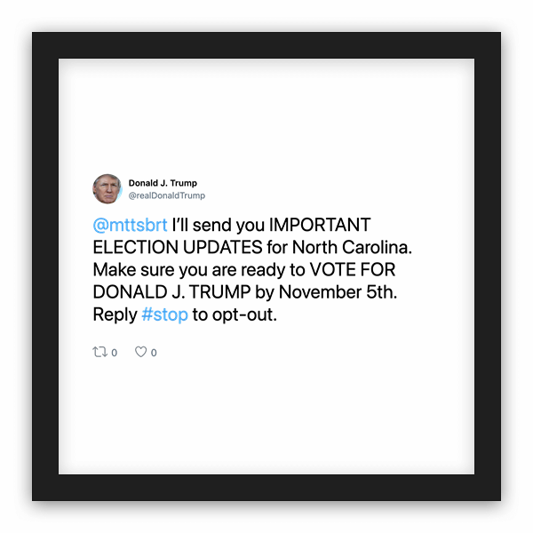 Donald J. Trump frame preview